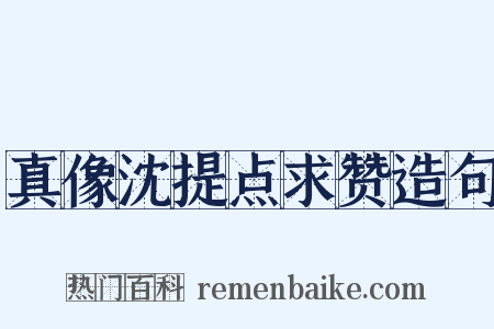 真像沈提点求赞造句是什么意思的图片
